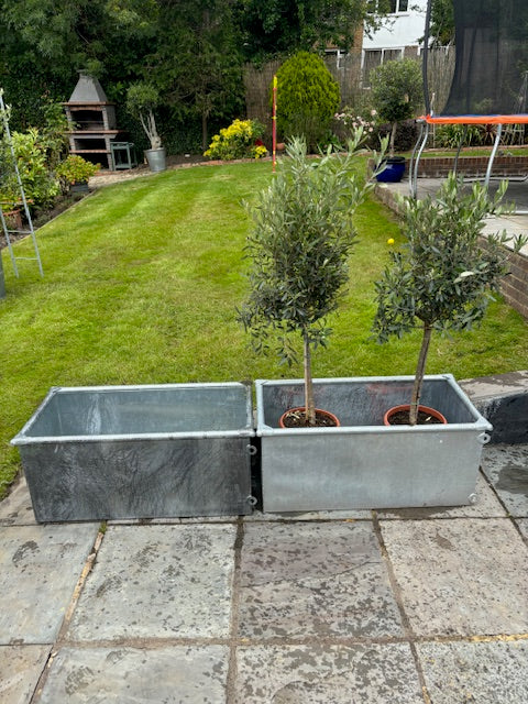 Galvanised Troughs