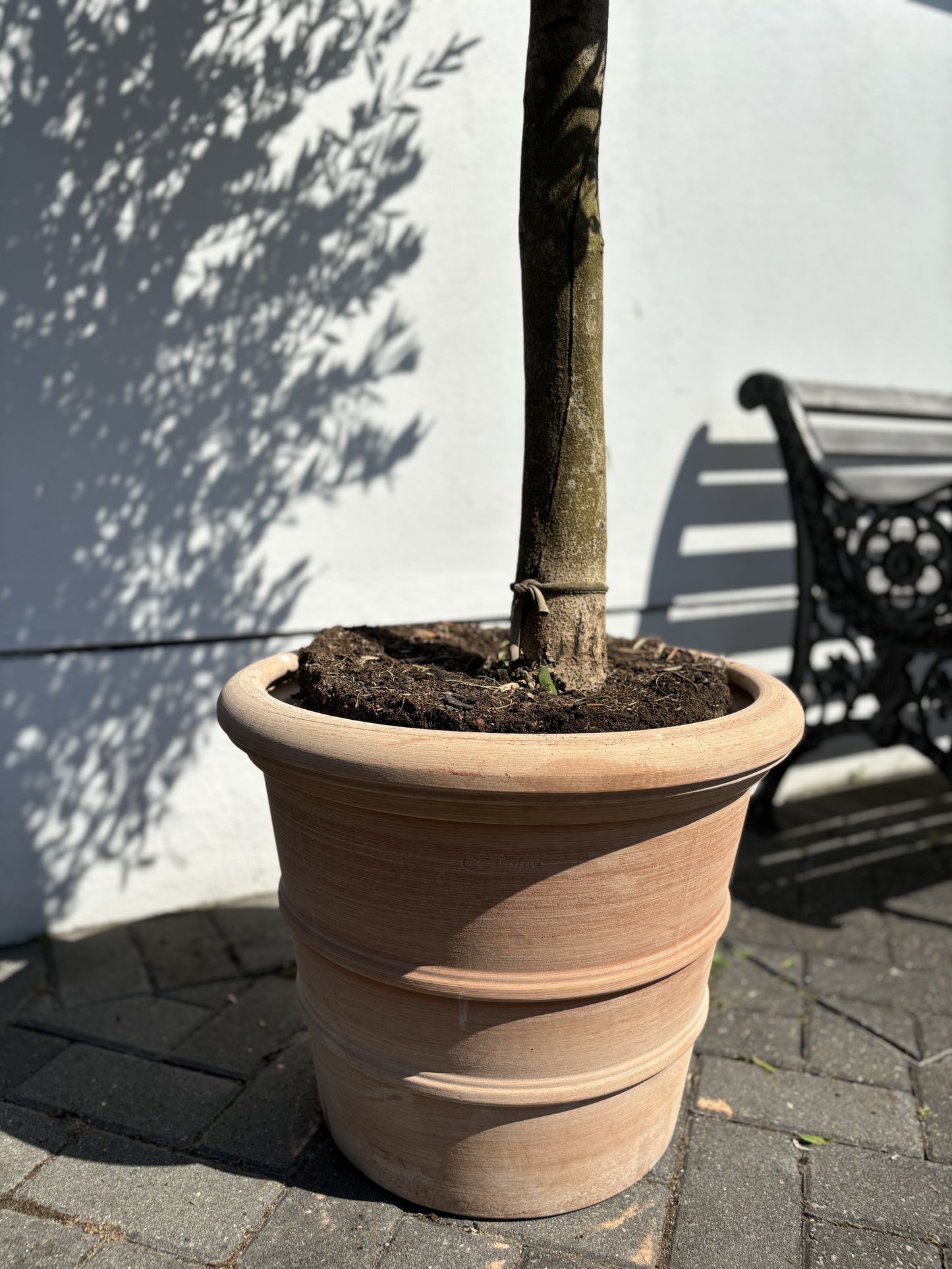 Tuscan Terracotta Pot- Handmade