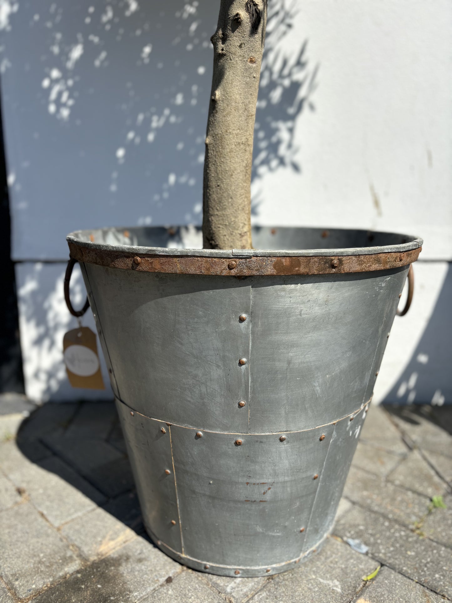 Large Galvanised Pot