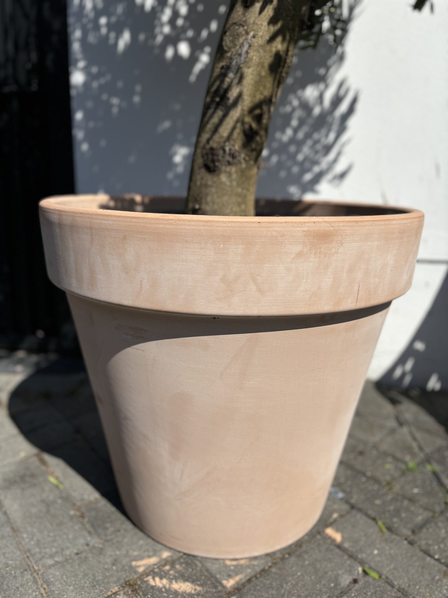 Large Terracotta Pot